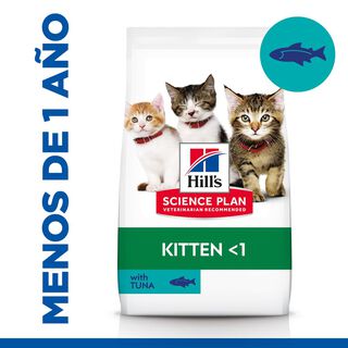 Hill's Kitten Science Plan Atum ração